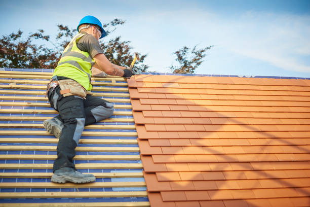 Best Roof Moss and Algae Removal  in Dawson, TX